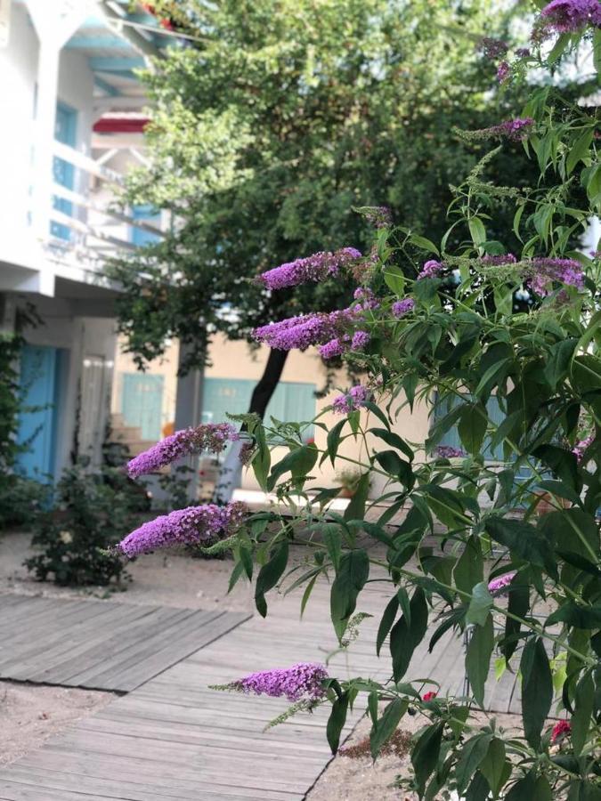 Casa Stavros Hotel Două Mai Екстериор снимка