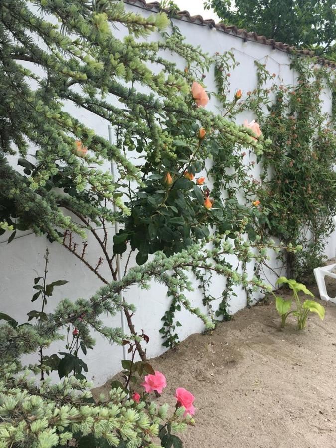 Casa Stavros Hotel Două Mai Екстериор снимка