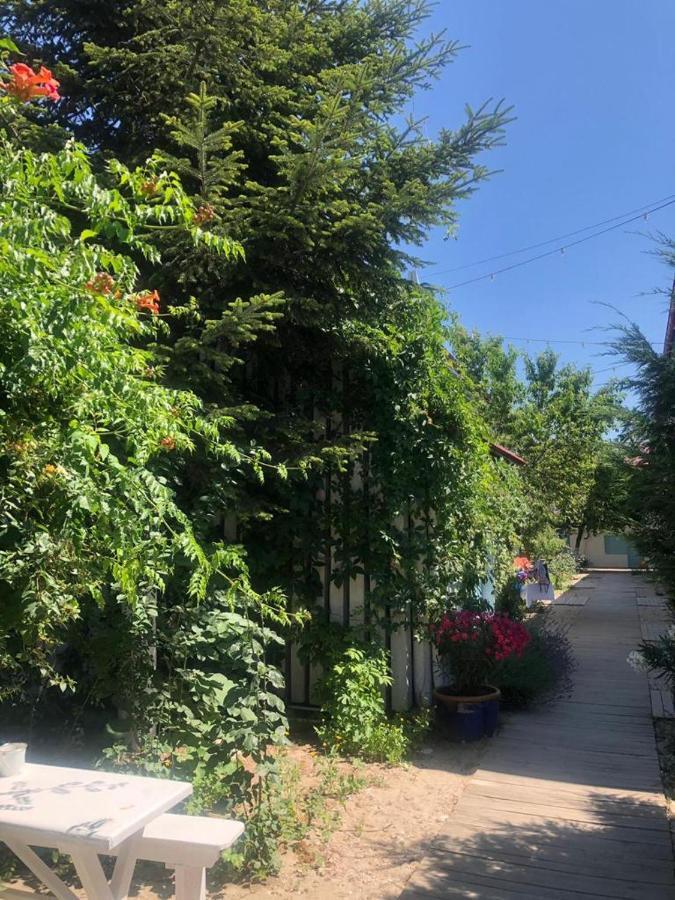 Casa Stavros Hotel Două Mai Екстериор снимка